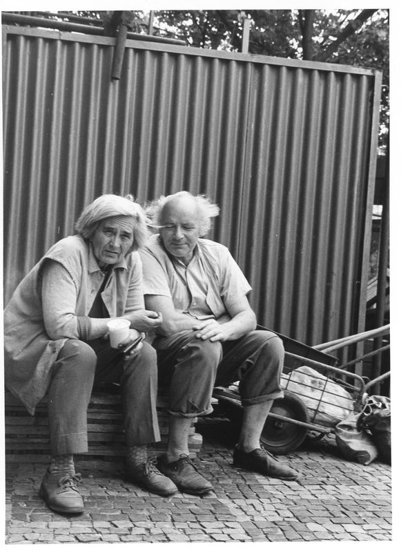 Minimalistické borovice vystupující z husté ranní mlhy